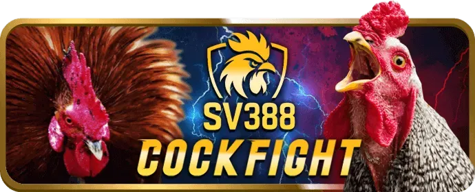Ưu đãi thành viên hiện tại qq288 app