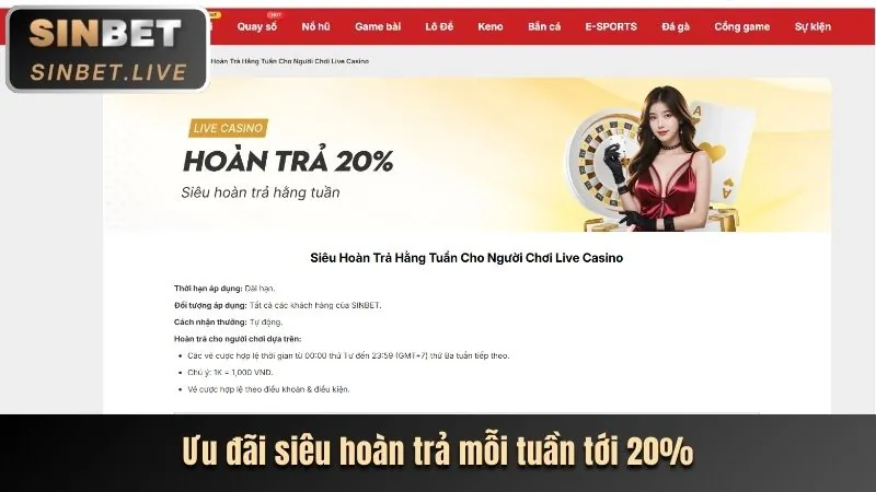 Chương trình VIP qq288 app